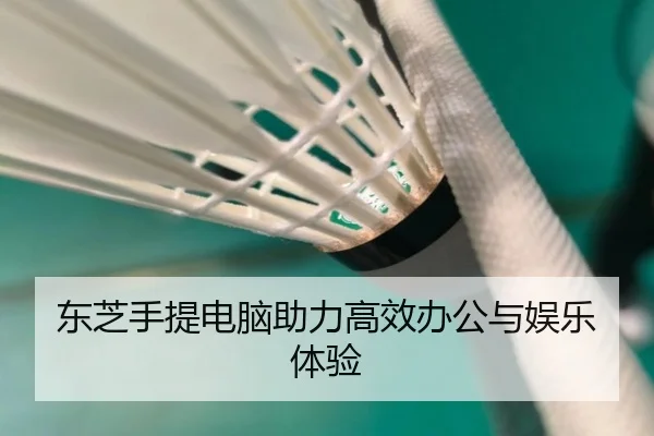 东芝手提电脑助力高效办公与娱乐体验
